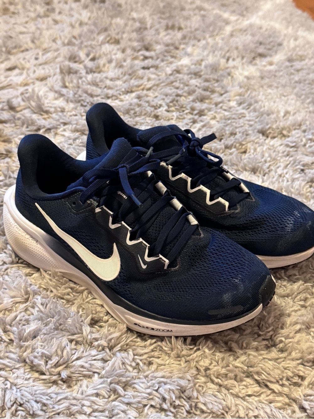 Nike women’s pegasus sneaker